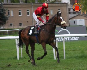 12994289_1028528317241390_3724832232613892130_n